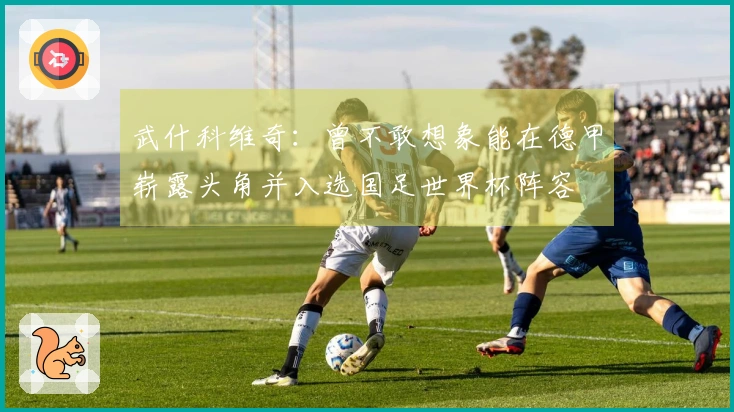 武什科维奇：曾不敢想象能在德甲崭露头角并入选国足世界杯阵容